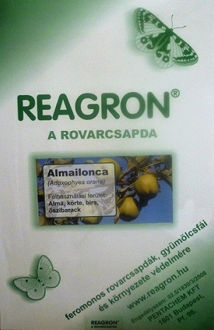 Reagron  Almailonca    alapcsapda