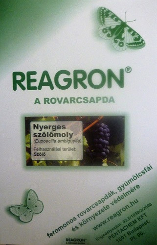 Reagron  Nyerges szőlőmoly    alapcsapda