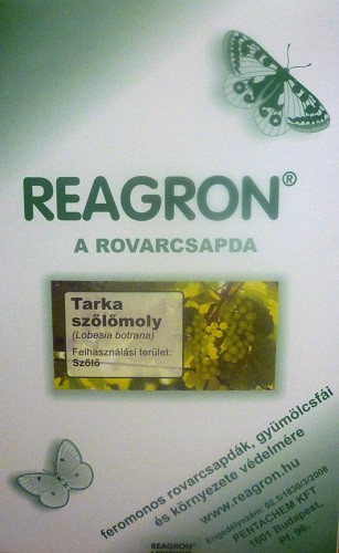Reagron  Tarka szőlőmoly    alapcsapda