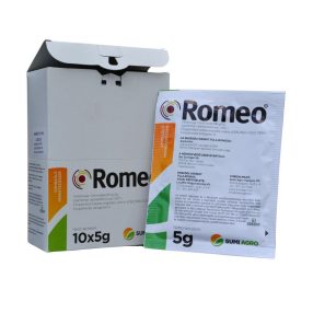 Romeo 5 gr levél