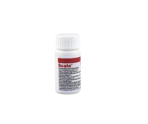 Scala 20 ml ampulla