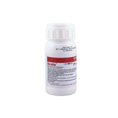 Scala 0,15l