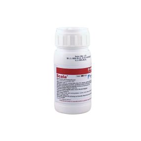 Scala 0,15l