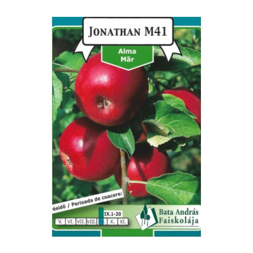 Alma Jonathan M41 Gyümölcsfa facsemete