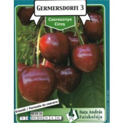 Cseresznye Germersdorfi 3 Gyümölcsfa facsemete