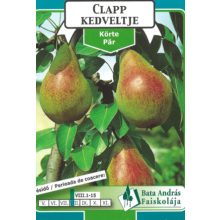 Körte Clapp kedveltje Gyümölcsfa facsemete