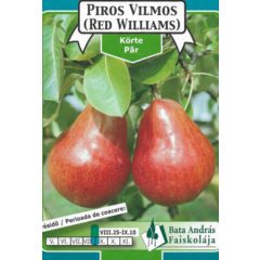 Körte Piros Vilmos Gyümölcsfa facsemete