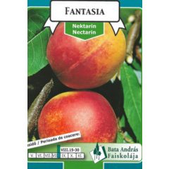   Őszibarack Nektarin Kopaszbarack Fantasia Gyümölcsfa facsemete