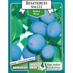 Szilva Besztercei Gyümölcsfa Facsemete Nm122 