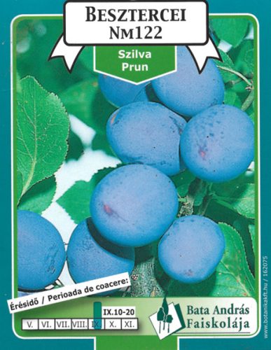 Szilva Besztercei Gyümölcsfa Facsemete Nm122 