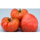 Paradicsom Montserrat 1g