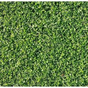 Fehérhere Pipolina 100g