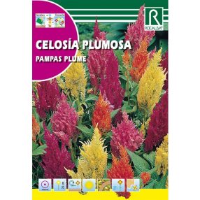 Kakastaréj Tollas színkeverék mag 2g