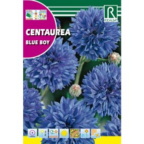 Búzavirág Centaurea cyanus kék mag 10g