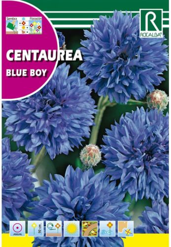 Búzavirág Centaurea cyanus kék mag 10g