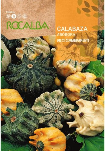 Disztök Calabaza Abóbora Dieci Mag 2g