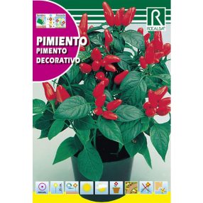 Díszpaprika Capsicum Decorativo mag 1g
