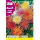 Dália, Kaktusz Dahlia variabilis színkeverék mag