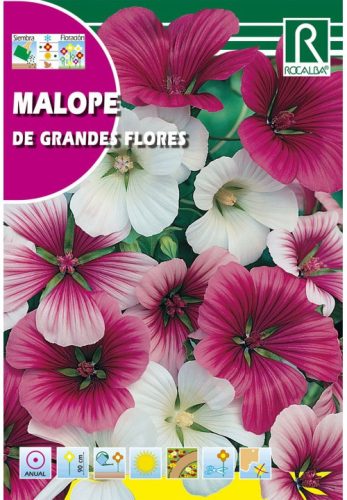 Tölcsérmályva Malope trifida színkeverék mag