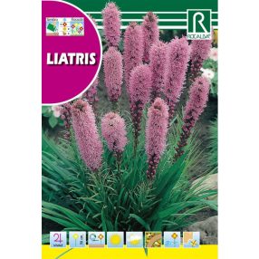 Díszcsorba Liatris spicata Ra lila mag