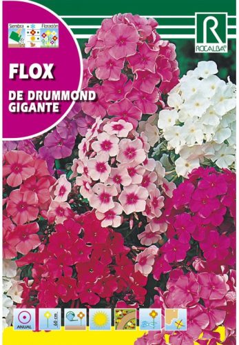 Lángvirág magas Phlox drummondii színkeverék mag