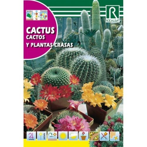 Kaktusz Cactus mag keverék