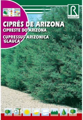 Ezüstös arizoniai ciprus mag Cupresuss arizonica, Glauca mag