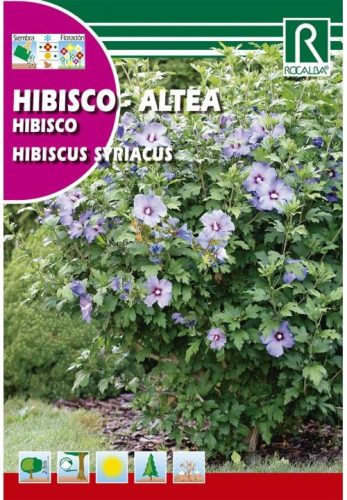 Mályvacserje mag Hibiscus syriacus