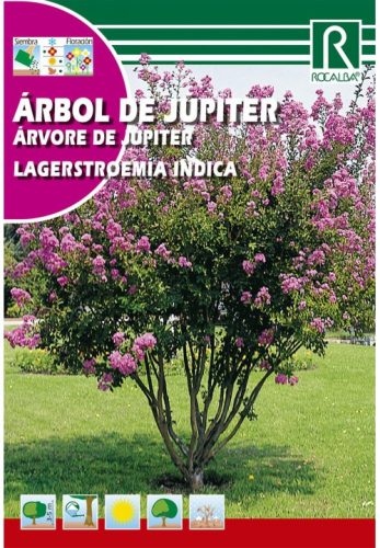 Selyemmirtusz Lagerstroemia indica mag