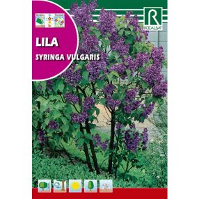 Orgona Syringa vulgaris mag