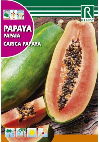 Dinnyefa Carica papaya mag