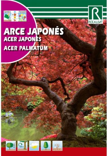 Japán juhar Arce japones mag