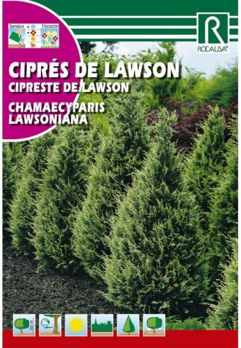 Oregoni hamis ciprus mag cipres de lawson mag