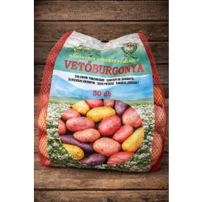 Vetőburgonya Desiree 50db minigumó