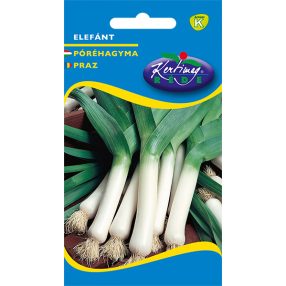 Póréhagyma Elefánt 2g
