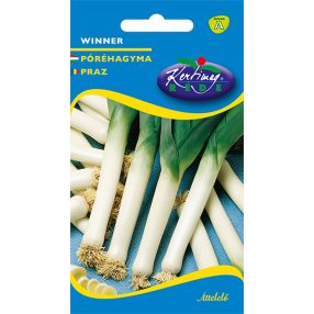 Póréhagyma Winner 1g