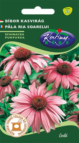 Bíbor Kasvirág Echinacea purpurea 0,5g