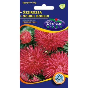 Őszirózsa Tűszirmú piros