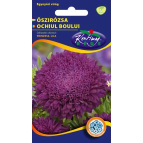 Őszirózsa teltvirágú kék