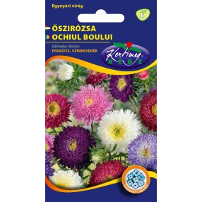 Őszirózsa Prinzess virágú színkeverék