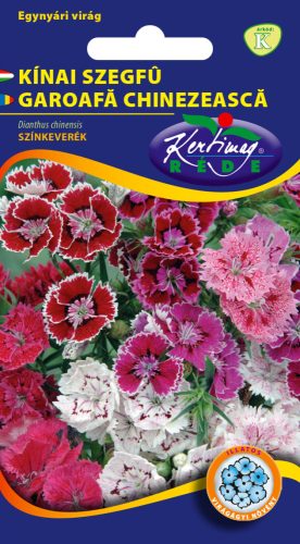 Kínai szegfű Dianthus chinensis teltvirágú színkeverék