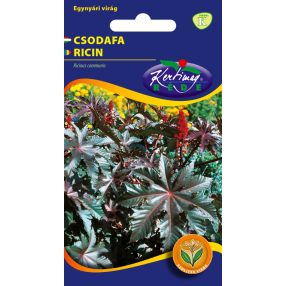 Csodafa Ricinus communis piroslevelű