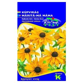 Kúpvirág Rudbeckia hirtagloriosa Daisy