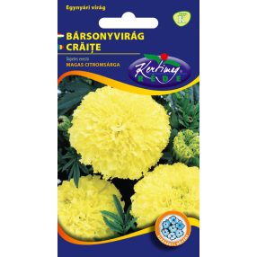 Bársonyvirág nagyvirágú magas citromsárga