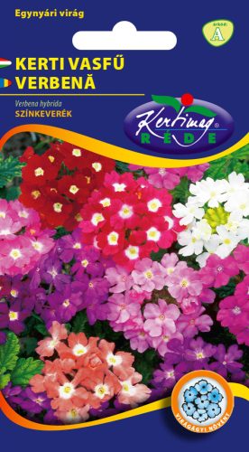 Vasfű Verbena hybrida színkeverék