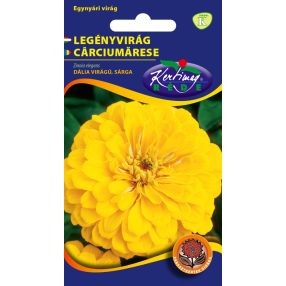 Legényvirág Dália virágú sárga