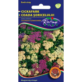 Cickafark Achillea millefolium színkeverék