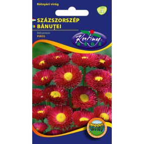 Százszorszép piros