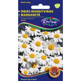 Óriás margitvirág Leucanthemum m. fehér