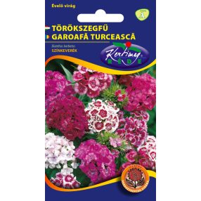 Törökszegfű Dianthus barbatus színkeverék